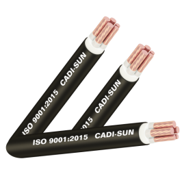 CÁP ĐỒNG 5 LÕI CXV 3×10+2×6, CADISUN